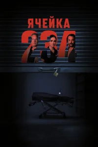 Ячейка 234 онлайн